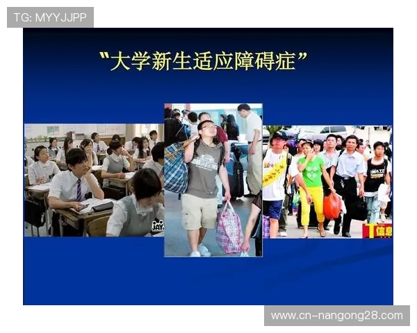 平台灵活配置功能适应不同地区体育政策差异