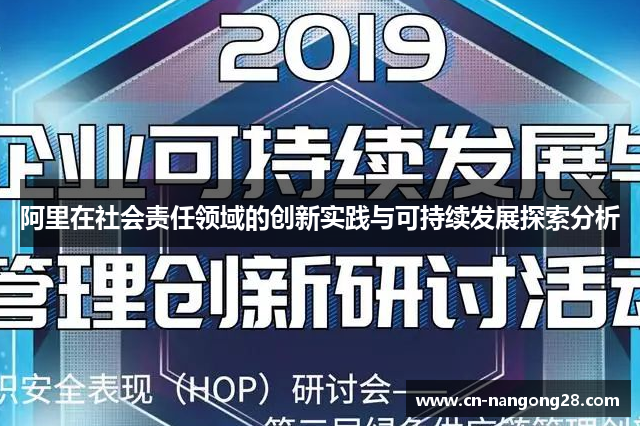 阿里在社会责任领域的创新实践与可持续发展探索分析