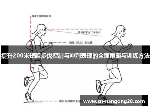 提升200米短跑步伐控制与冲刺表现的全面策略与训练方法