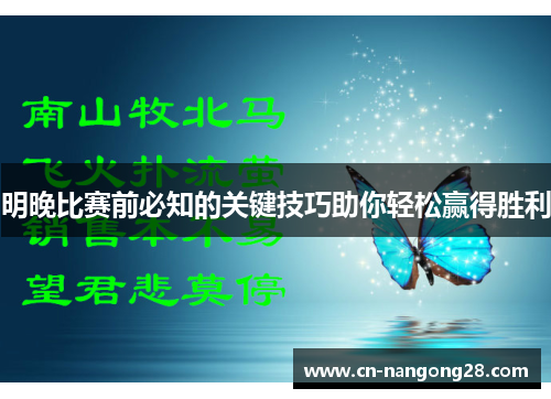 明晚比赛前必知的关键技巧助你轻松赢得胜利