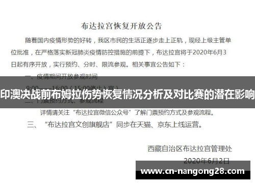 印澳决战前布姆拉伤势恢复情况分析及对比赛的潜在影响