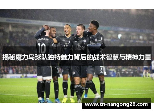 揭秘魔力鸟球队独特魅力背后的战术智慧与精神力量