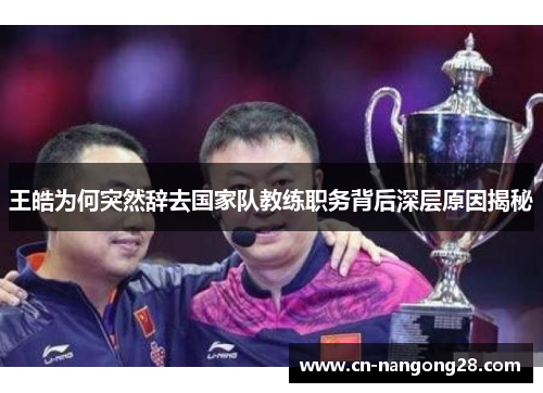 王皓为何突然辞去国家队教练职务背后深层原因揭秘