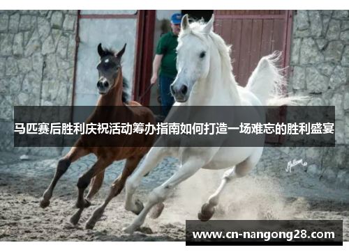 马匹赛后胜利庆祝活动筹办指南如何打造一场难忘的胜利盛宴